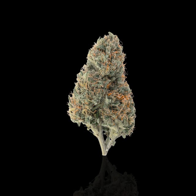 Elk Creek Genetics Banjerine flower and jar (2)