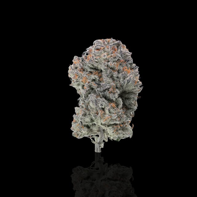 Elk Creek Genetics Cosmic Crashers flower and jar (2)