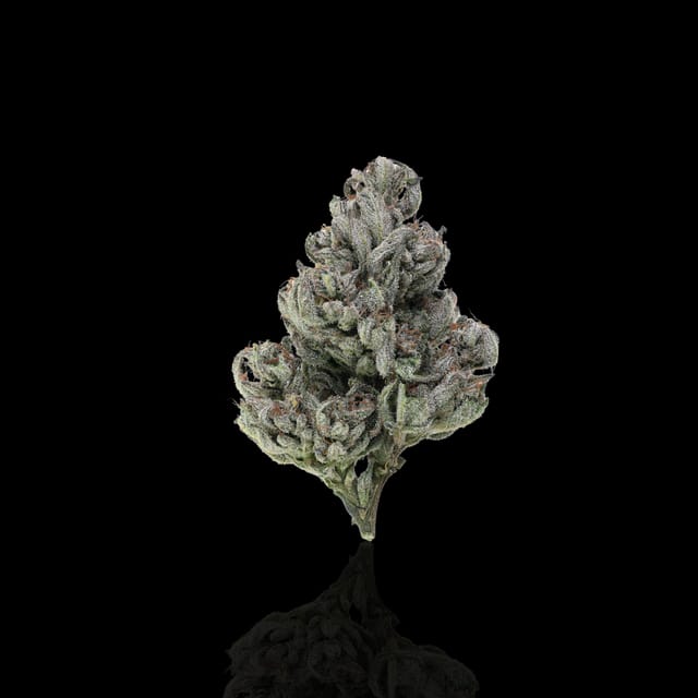 Elk Creek Genetics Donkey Kong flower and jar (2)
