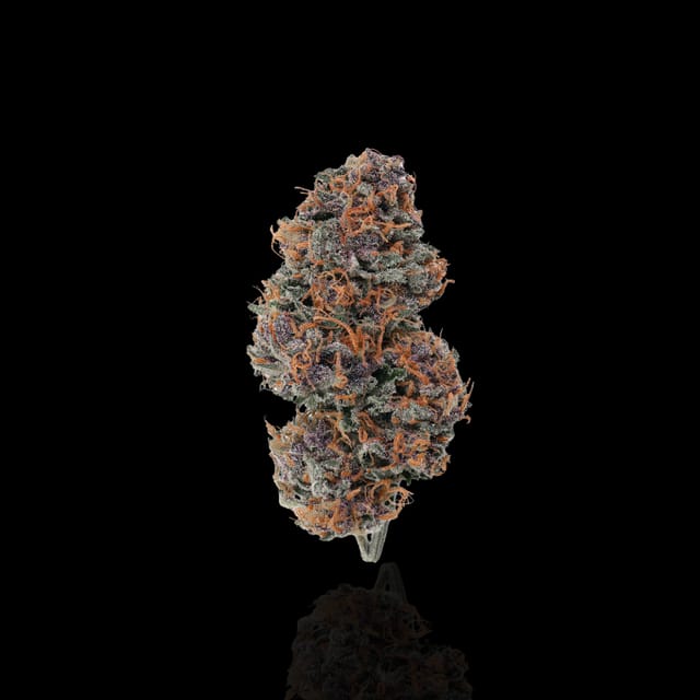 Elk Creek Genetics Forbidden Fruit flower and jar (2)